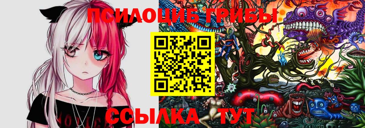 Псилоцибиновые грибы прущие грибы Артёмовский