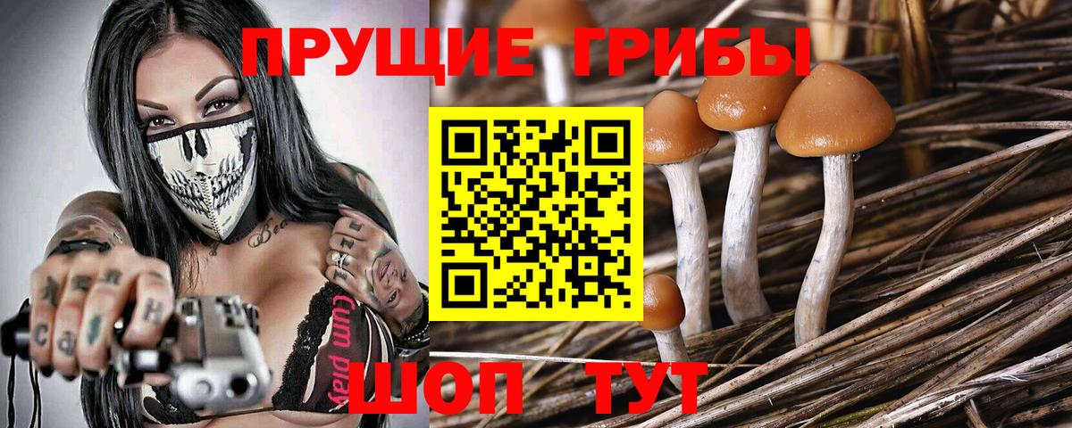 Псилоцибиновые грибы Psilocybine cubensis  Вход с VPN  Артёмовский 